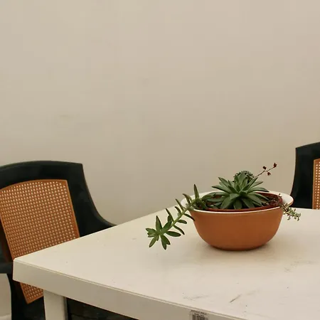 La Casedda Holiday home